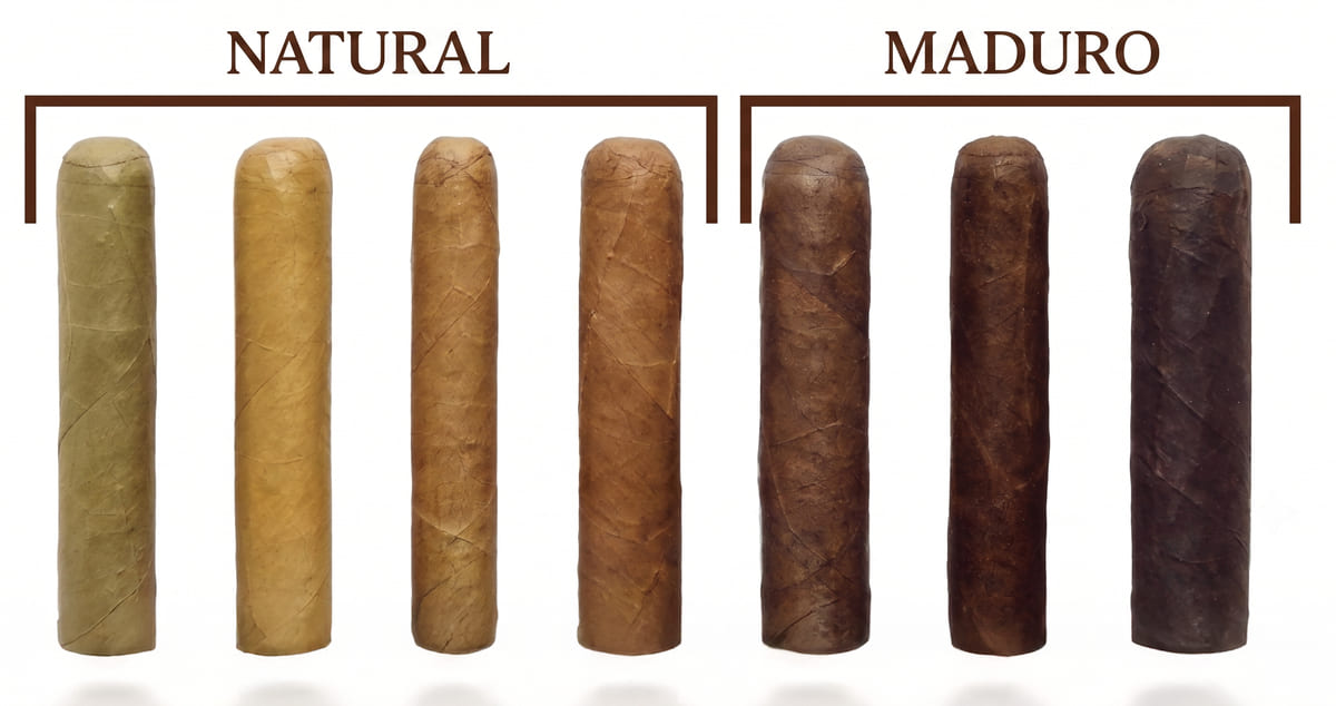 maduro-vs-natural-cigars