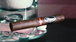 Davidoff Yamasa