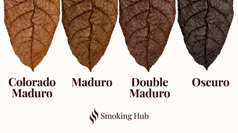 maduro shades
